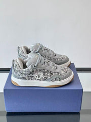 Dior B9S Skater Sneakers 'Grey Tweed Suede'