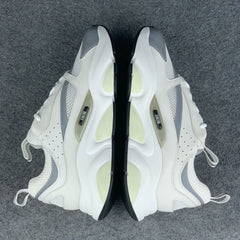 Dior B22 'White Grey'