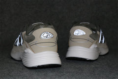 Dior B30 'Green Beige'