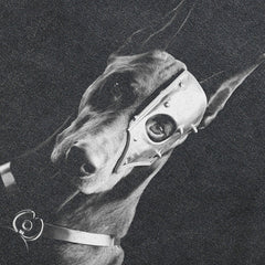 Doberman Dog Graphic T Shirts Y2K