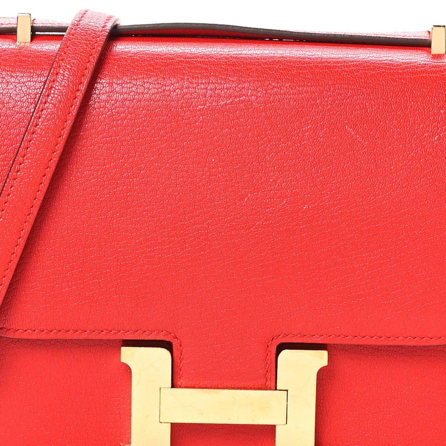 Chevre Mysore Constance 18 Rouge De Coeur