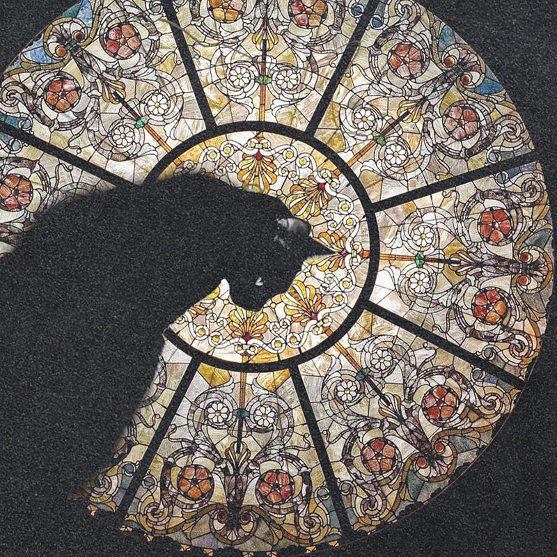 Graphic Y2K Tees