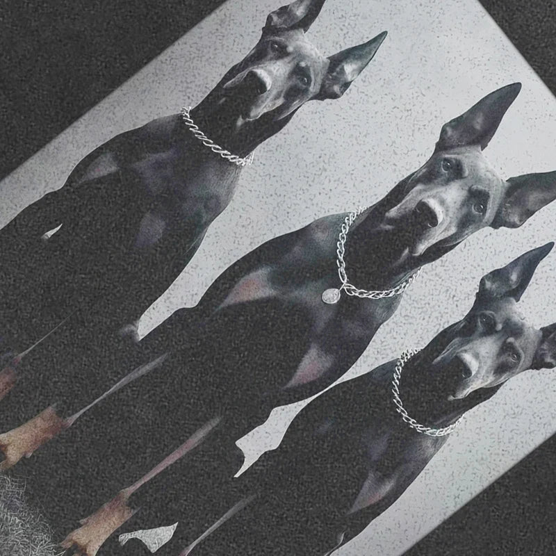 Three Dogs Graphic T Shirts Y2K
