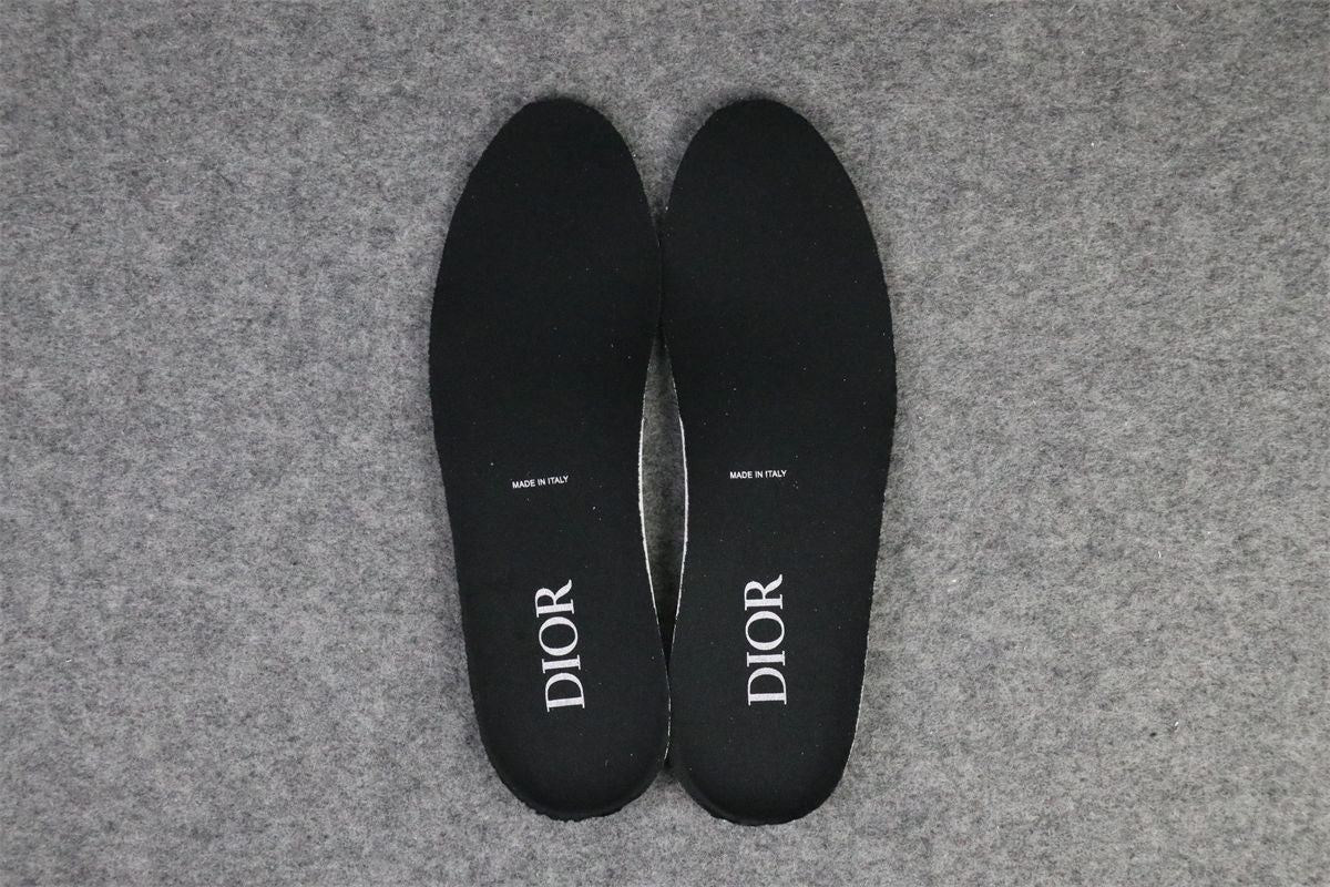 Dior B22 'Black Reflective'