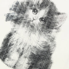 Y2K Baby Cat Tops Tees