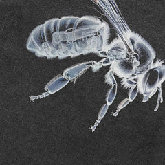 Y2K X-Ray Hornet Graphic Tees